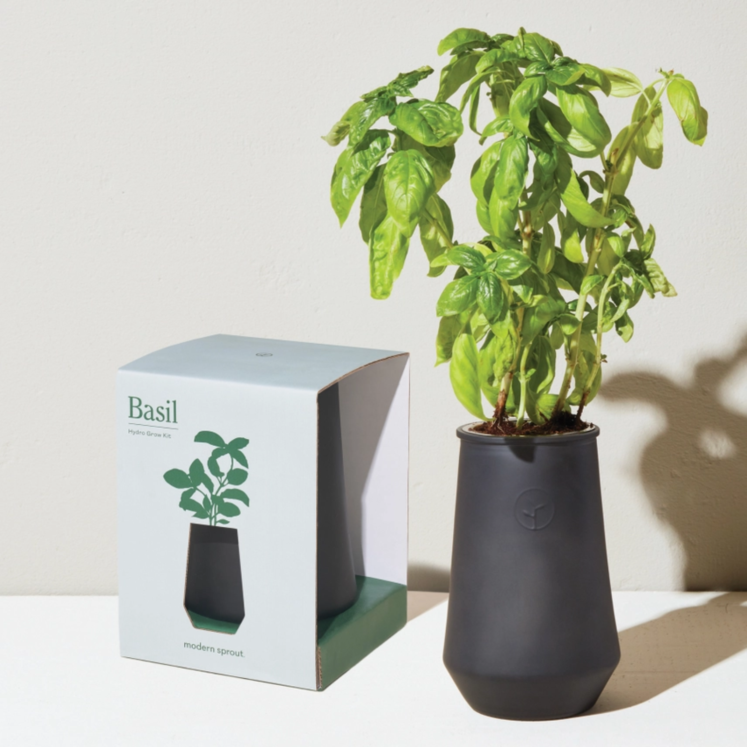 Indoor basil grow kit with self-watering glass planter. Includes organic non-GMO seeds, grow medium, plant food, and instructions. Great for kitchen gift baskets, sympathy gifts, or plant mom holiday gifts.