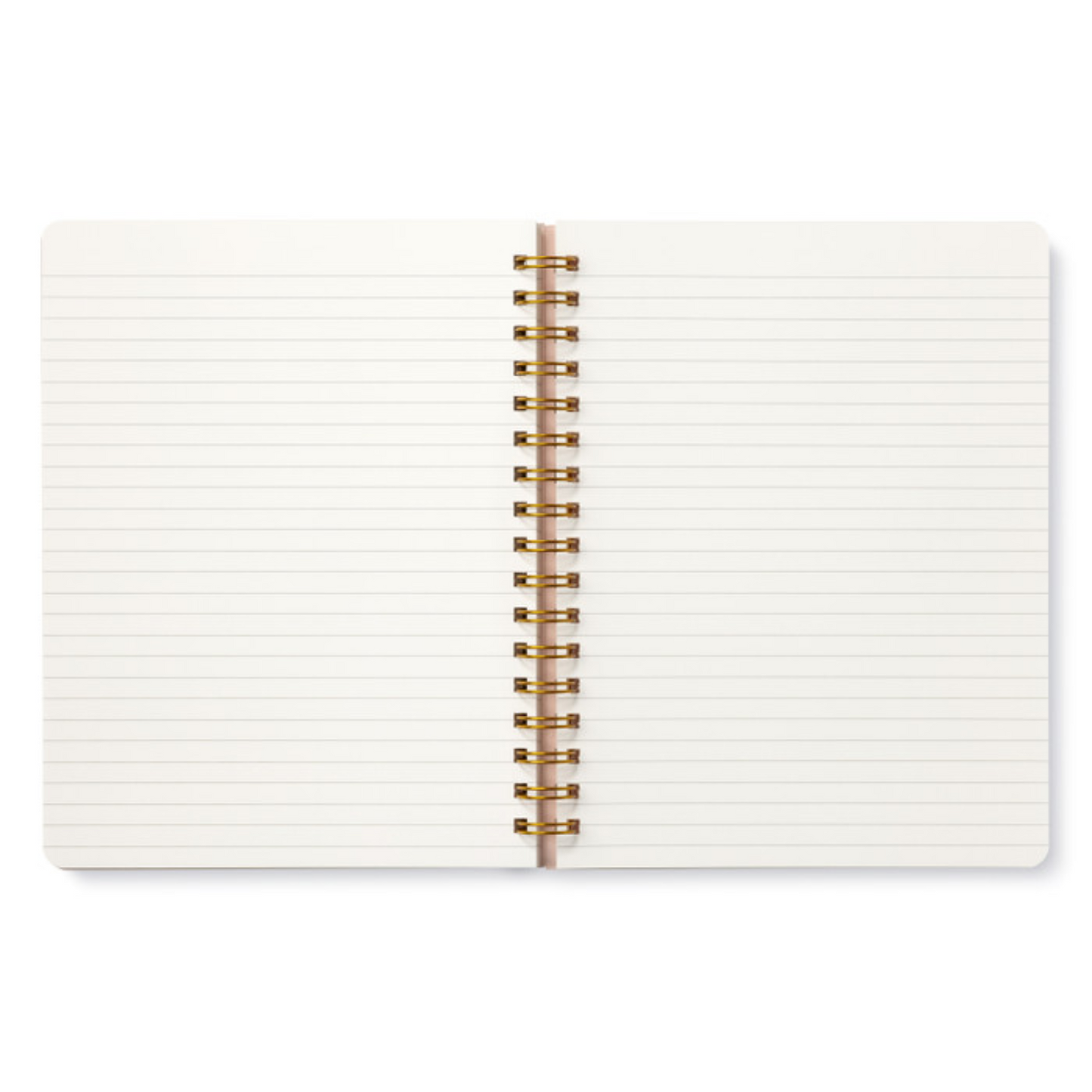 Open notebook with white pages and a gold spiral binding on a white background