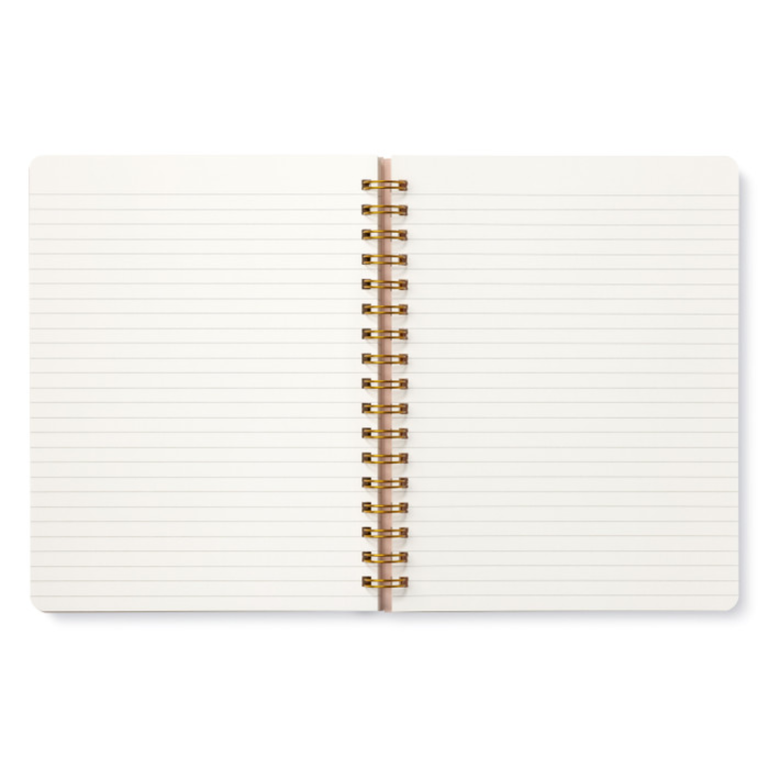Open notebook with white pages and a gold spiral binding on a white background